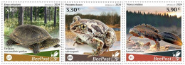 Estonia Finland Lithuania 2024 Water Fauna Frog Turtle Triton National Parks Europa BeePost Set Of 3 Stamps MNH - Kikkers