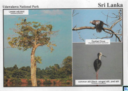 Sri Lanka Postcards, Birds, Udawalawa National Park, Postcrossing - Sri Lanka (Ceylon)