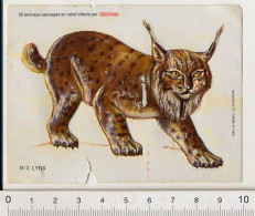 (avec Défauts) Image Stenval Plastifiée (Plastique Thermoformé) Lynx Animal - Sonstige & Ohne Zuordnung