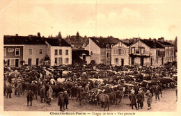 Chemillé : Champ De Foire, Vue Générale - Chemille