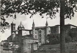 CARTOLINA ITALIA URBINO COMMEMORATIVA XI SETTIMANA STUDENTI 1964 ITALY POSTCARD ITALIEN Ansichtskarten - Urbino