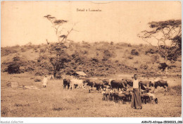 AHNP3-0273 - AFRIQUE - Bétail à Lusambo - Unclassified