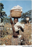 AICP9-AFRIQUE-1057 - AFRIQUE EN COULEURS - Récolte Du Coton - Zonder Classificatie