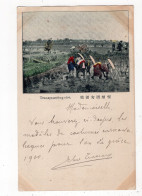JAPON - Transplanting Rice *1899* - Other & Unclassified