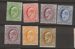 1904 MH Falkland Islands Mi 17-22 - Islas Malvinas