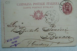 FELTRE - ANTONIO SOMMARIVA COMMERCIANTE - TIMBRO SU CARTOLINA POSTALE 1896 X BORCA - 128 ANNI! - Belluno