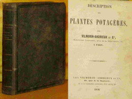 ANONYME  - DESCRIPTION DES PLANTES POTAGERES - 1801-1900