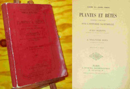 PIZZETTA  Jules - PLANTES ET BETES - CAUSERIES FAMILIERES SUR L'HISTOIRE NATURELLE - A - 1801-1900