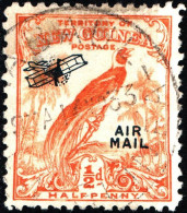 NUOVA GUINEA, NEW GUINEA, FAUNA, UCCELLI, BIRDS, 1931, USATI Scott:PG-NG C14, Yt:PG-NG PA14 - Papouasie-Nouvelle-Guinée