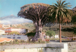 73790845 Tenerife Islas Canarias Spanien ES 1000jaehriger Drachenbaum Von Icod  - Otros & Sin Clasificación