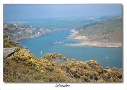 Navigation Sailing Vessels & Boats Themed Postcard Salcombe Sailboats - Segelboote