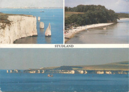 Navigation Sailing Vessels & Boats Themed Postcard Studland Cliffs Fishing Vessel - Segelboote