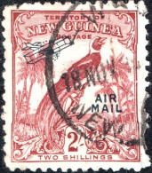 NUOVA GUINEA, NEW GUINEA, FAUNA, UCCELLI, BIRDS, 1932, USATI Scott:PG-NG C40 Yt:PG-NG PA40 - Papúa Nueva Guinea