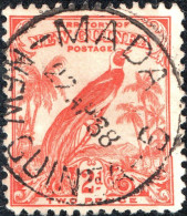 NUOVA GUINEA, NEW GUINEA, FAUNA, UCCELLI, BIRDS, 1934, USATI Scott:PG-NG C39 Yt:PG-NG PA34 - Papua-Neuguinea