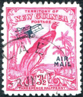 NUOVA GUINEA, NEW GUINEA, FAUNA, UCCELLI, BIRDS, 1934, USATI Scott:PG-NG C39 Yt:PG-NG PA34 - Papua-Neuguinea