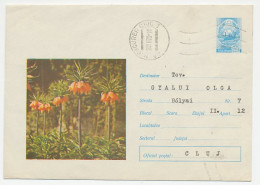 Postal Stationery Rumania 1970 Flower - Autres & Non Classés