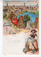 BRAUNSCHWEIG - Litho - 1901 - Chocolat Cacao SUCHARD - Braunschweig