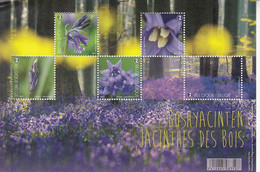 2017 Belgium Flowers ** TINY NIBBLE TOP RIGHT** Complete Sheet Of 5 MNH  @ BELOW FACE VALUE - Nuevos
