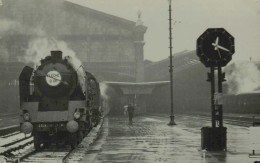 Flèche D'Or - Locomotive 231 K En Gare - Cliché J. Renaud - Treni