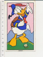 Donald à La Montagne Randonnée Fleur ?? Edelweiss ??  Walt Disney Productions BIM B1-8 - Sonstige & Ohne Zuordnung