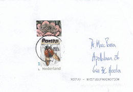 Nederland Netherlands 2024 Gouda Seven-spot Ladybird Coccinella Septempunctata Domestic Cover - Escarabajos