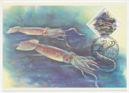 Maximum Card Rossija 1993 Squid - Andere & Zonder Classificatie