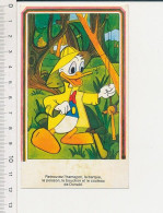 Devinette = Donald à La Pêche Moulinet Walt Disney Productions BIM B1-8 - Andere & Zonder Classificatie