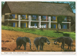 Kenya Tsavo National Park Kilaguni Lodge Elephants * John Hinde Unused Postcard - Olifanten