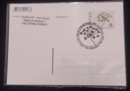 D)2010, SLOVENIA, POSTCARD, FIRST DAY, ISSUE, VENIJA VJUBDAN BOTANICAL GARDEN, FLORA, PASTINACIFOLIA, XF - Slowenien