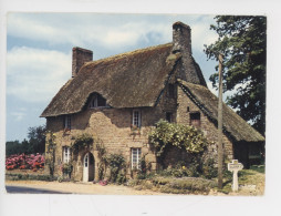 La Manche Saint Symphorien Des Monts, Chaumière Normande Sur La Route De Villechien (cp Vierge N°183 Cigogne - Altri & Non Classificati