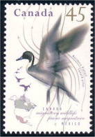 Canada Canard Pilet Northern Pintail MNH ** Neuf SC (C15-65b) - Anatre