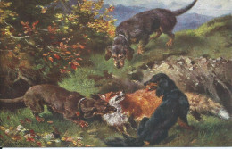 Chasse , Chiens, Renard. / Jâgd,hunde, Fuchs. (Illustrateur Muller J.) - Honden