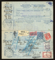 HUNGARY 1918. Interesting Retour Parcel Card - Pacchi Postali