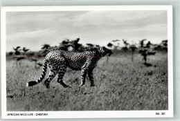 39438405 - Gepard African Wild Life Nr.201 - Leeuwen