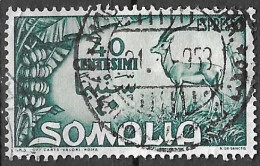 SOMALIA  - 1950 - ESPRESSO - C. 40 - USATO (YVERT EX 9 - MICHEL 266 - SS E 1) - Somalië (AFIS)