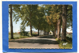 15  . Les  Belles  Avenues  De   MAURS - La - JOLIE  , La Route  D ' AURILLAC     .cpsm  10,5 X 15 . - Autres & Non Classés