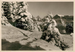 13098440 Flumserberg Flums Churfirsten Flumserberg Flums - Autres & Non Classés