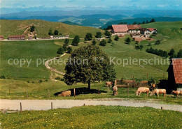 13081868 Eptingen Berghaus Ober-Boelchen Geschwister Haering Kuehe Eptingen - Sonstige & Ohne Zuordnung