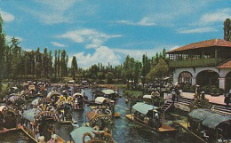 AK 215432 MEXICO - Mexico D. F. - Xochimilco - Floating Gardens - Messico