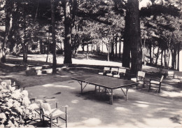 TENNIS DE TABLE(PORT MANECH) - Tenis De Mesa