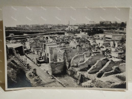 Italy Italia Foto Napoli Ercolano 1938 - Europa