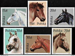 D233  Horses - Chevaux - Poland Yv 2997-02 MNH - 1,50 (3-40-190).jpg - Cavalli