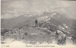 74 CHAMONIX MONT BLANC LE BUET ET LES AIGUILLES ROUGES Editeur CPN N° 4239 - Chamonix-Mont-Blanc