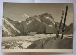 Les Deux Alpes-alpe De Venosc-la Muzelle-(photo P.Michel) - Autres & Non Classés