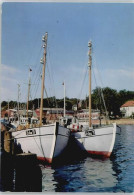 50729205 - Eckernfoerde - Eckernförde