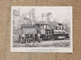 In Sierra Nevada Nel 1896 Locomotiva Usata Nell'industria Delle Foreste - Antes 1900