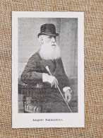 Angelo Dalmedico Venezia, 6 Luglio 1817 - Firenze, 23 Dicembre 1896 Letterato - Vor 1900