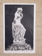 La Venere Inebriata Statua Del Cav. Vittorio Brodski Incisione Del 1881 - Antes 1900