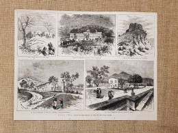 L'Isola D'Elba Nel 1881 Rovine Romane Tenuta Demidoff Fortezza Del Volterrajo - Vor 1900