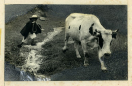 Micias L'enfant Des Andes Ancienne Photo Découpée Et Montée Beauvais 1960 #7 - Otros & Sin Clasificación